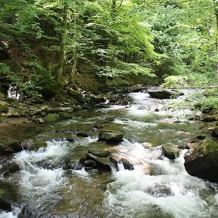 Inn Leibenfelderstub'n 3*