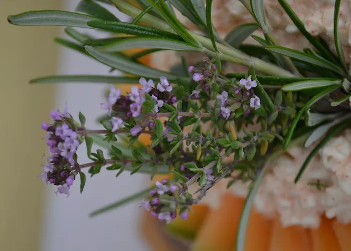 אורחן Leibenfelderstub'n דויטשלנדסברג