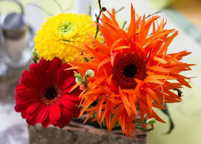 Leibenfelderstub'n אורחן דויטשלנדסברג