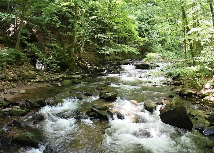 Inn Leibenfelderstub'n 3*